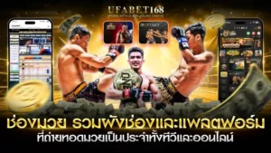 ช่องมวย