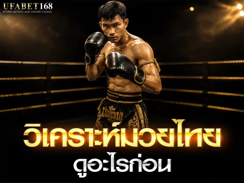 วิจารณ์มวย