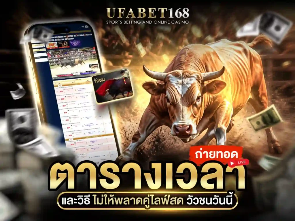 ถ่ายทอดสดวัวชน