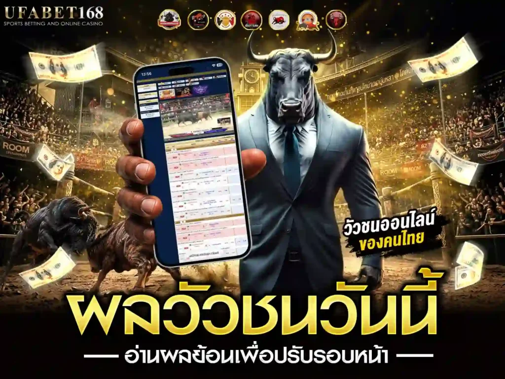 ผลวัวชนวันนี้