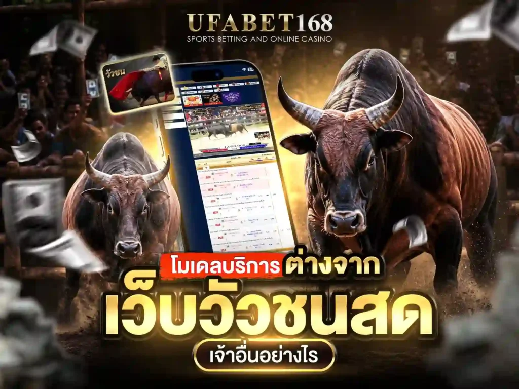 แทงวัวชนออนไลน์